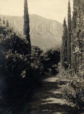 Το σπίτι του Αριστόβουλου Ζάννου στην Τράπεζα Αιγιαλείας. Αλέα προς την κόκκινη πόρτα, 1940 1