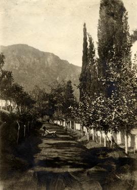 Σπίτι Αριστόβουλου Ζάννου στο χωρίο Τράπεζα Αιγιαλείας. Αλέα στην πανήγυρι.  1