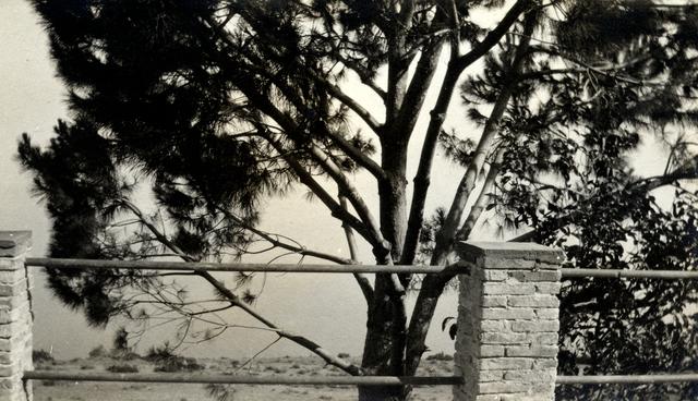 Original Ψηφιακό αντικείμενο not accessible