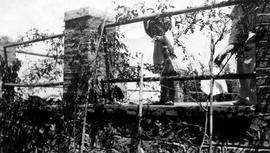 Σπίτι Αριστόβουλου Ζάννου στο χωρίο Τράπεζα Αιγιαλείας. Βεράντα 1