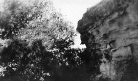 Τράπεζα Αιγιαλείας 1