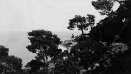 Τράπεζα Αιγιαλείας 1