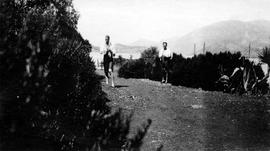 Τράπεζα Αιγιαλείας, 1919 1