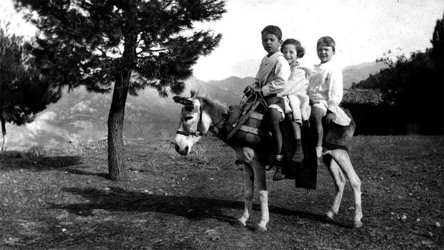 Original Ψηφιακό αντικείμενο not accessible