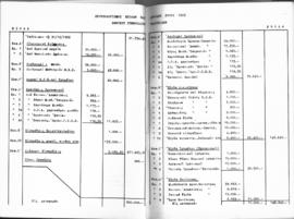 Λογοδοσία πεπραγμένων Εθνικού Συμβουλίου Ελληνίδων χρήσεως 1962, Αθήνα 1963 32