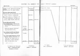 Λογοδοσία πεπραγμένων Εθνικού Συμβουλίου Ελληνίδων χρήσεως 1959, Αθήνα 1960 31