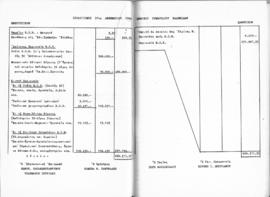 Λογοδοσία πεπραγμένων Εθνικού Συμβουλίου Ελληνίδων χρήσεως 1960, Αθήνα 1961 41