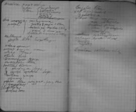 Ελμίνα Παντελάκη: Σημειώσεις από το ταξίδι στις Ηνωμένες Πολιτείες τον Φεβρουάριο-Μαϊο του 1953 47